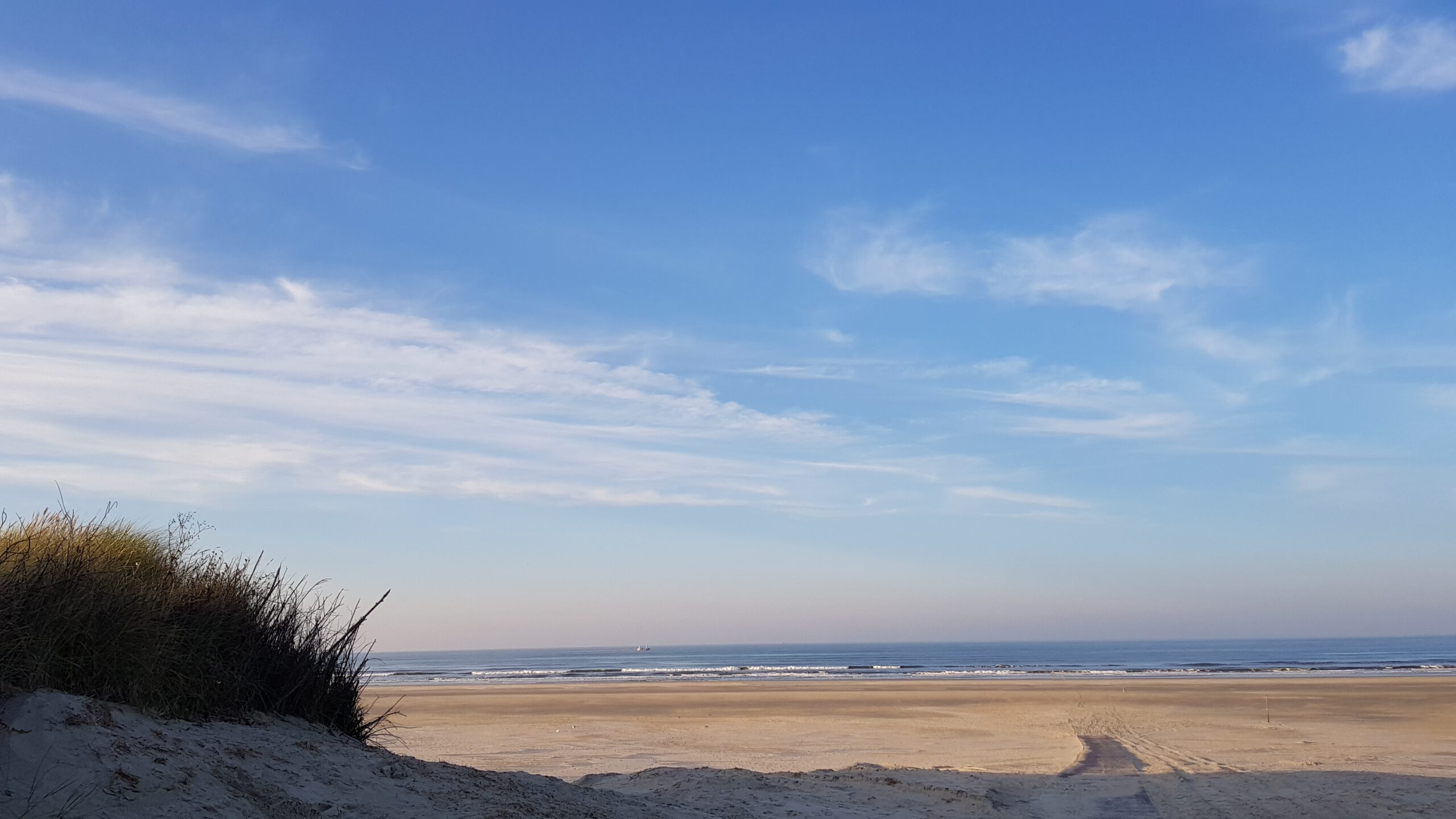 Unendliche Weiten: Alleine am Strand auf Juist im Winter